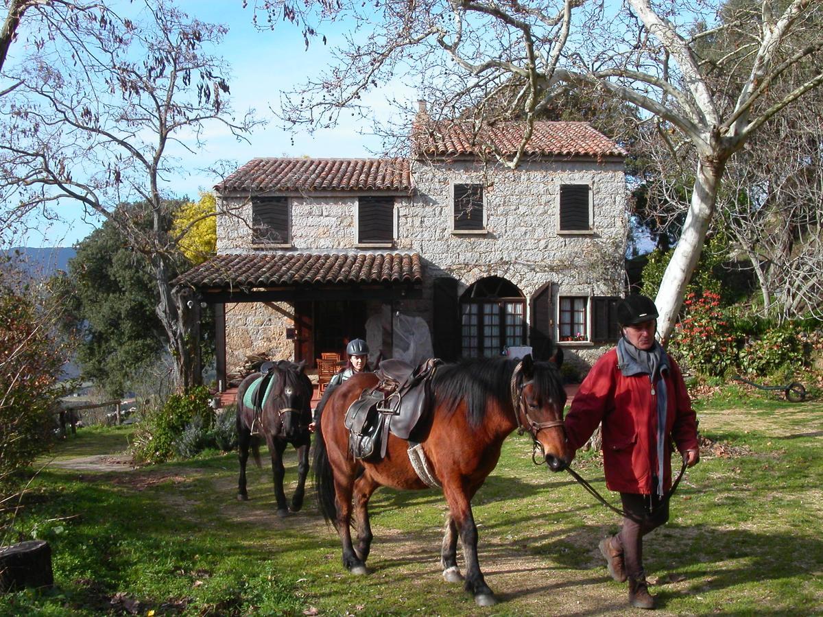 Maison D'Hotes De Charme De Croccano 萨尔泰纳 外观 照片